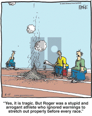 In the Bleachers - Wednesday June 11, 2008 Comic Strip