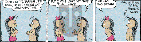 The Grizzwells on Saturday February 1, 2025 Comic Strip
