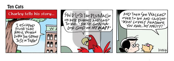 Ten Cats - Saturday May 17, 2025 Comic Strip
