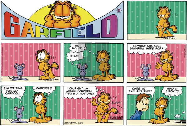 Garfield on Sunday July 25, 1999 Comic Strip