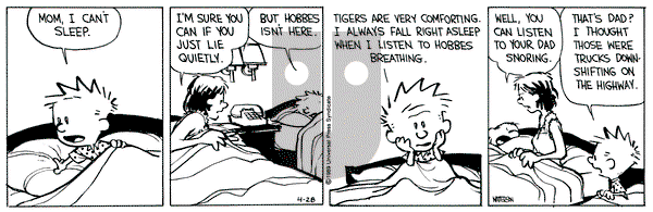 Calvin and Hobbes on Friday April 28, 1989 Comic Strip