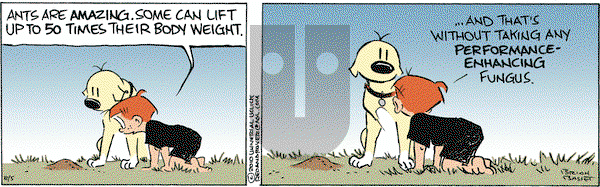 Red and Rover on Thursday August 5, 2010 Comic Strip