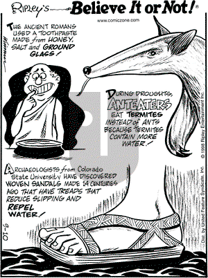 Ripley's Believe It or Not on Thursday September 10, 1998 Comic Strip