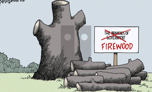 Robert Ariail on Saturday February 15, 2025 Comic Strip