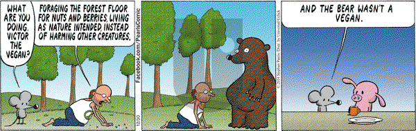 Pearls Before Swine - Tuesday December 30, 2014 Comic Strip