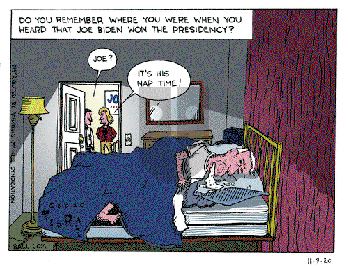 Ted Rall on Monday November 9, 2020 Comic Strip