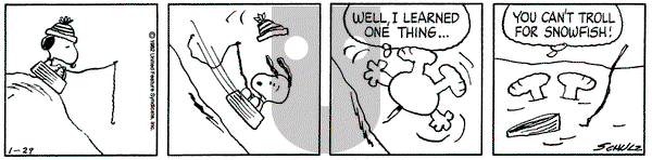Peanuts on Friday January 29, 1982 Comic Strip