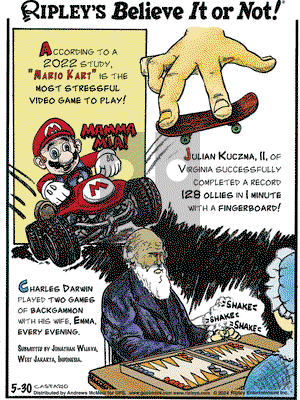 Ripley's Believe It or Not - Thursday May 30, 2024 Comic Strip