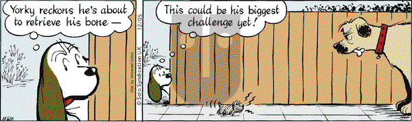 Fred Basset on Thursday December 5, 2013 Comic Strip