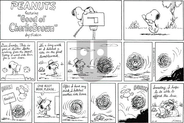 Peanuts - Sunday December 15, 1985 Comic Strip