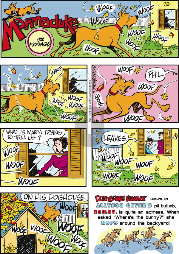 Marmaduke on Sunday November 30, 2014 Comic Strip