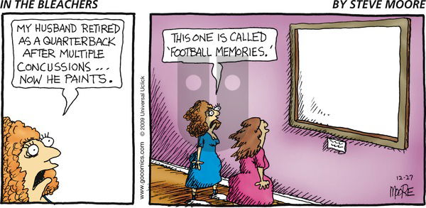 In the Bleachers on Sunday December 27, 2009 Comic Strip