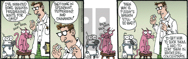 Monty on Tuesday June 10, 2025 Comic Strip