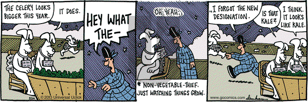 Overboard on Friday May 24, 2013 Comic Strip