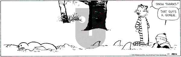 Calvin and Hobbes - Saturday January 21, 1995 Comic Strip