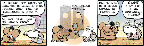 DeFlocked on Monday November 23, 2009 Comic Strip