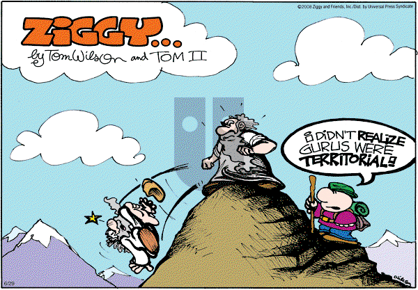 Ziggy - Sunday June 29, 2008 Comic Strip