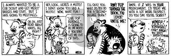 Calvin and Hobbes - Thursday December 3, 1987 Comic Strip