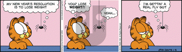 Garfield on Saturday January 3, 2015 Comic Strip