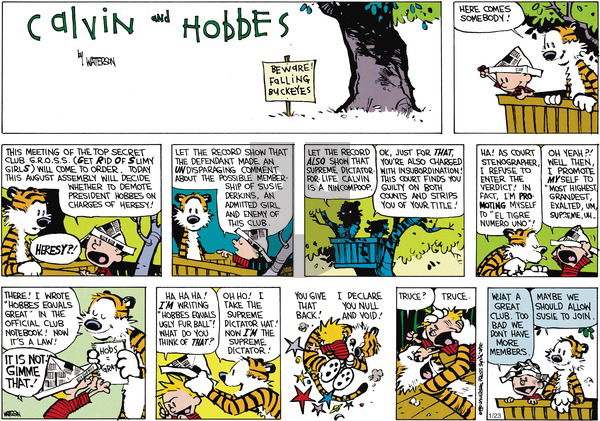 Calvin and Hobbes on Sunday March 11, 1990 Comic Strip