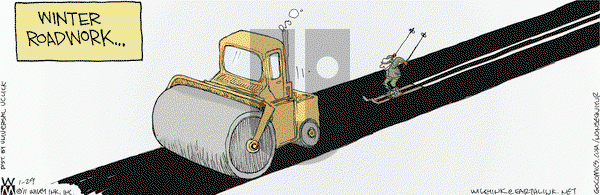 Non Sequitur on Saturday January 29, 2011 Comic Strip