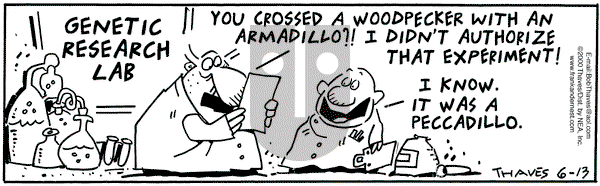 Frank and Ernest on Tuesday June 13, 2000 Comic Strip