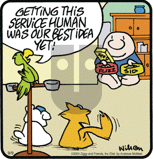 Ziggy - Monday September 9, 2024 Comic Strip