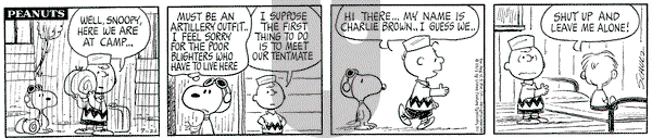 Peanuts on Wednesday July 21, 1971 Comic Strip