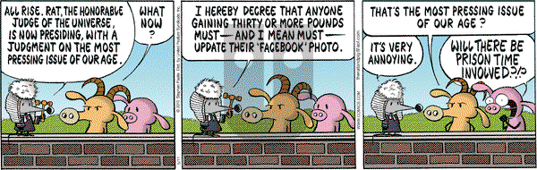 Pearls Before Swine on Tuesday May 11, 2010 Comic Strip