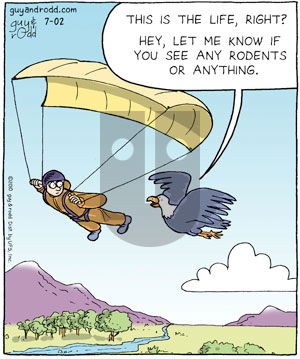 Brevity on Friday July 2, 2010 Comic Strip