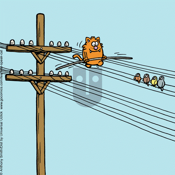 Learn to Speak Cat on Friday June 13, 2025 Comic Strip