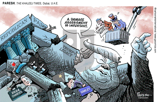 ViewsBusiness on Friday January 15, 2021 Comic Strip