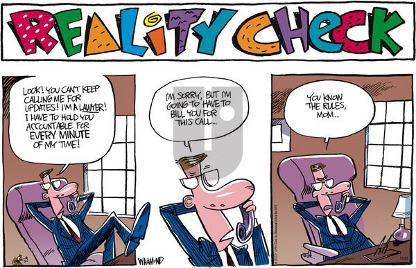 Reality Check on Sunday December 29, 2013 Comic Strip