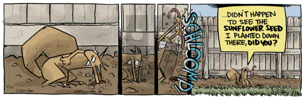 Bob the Squirrel - Wednesday May 22, 2024 Comic Strip