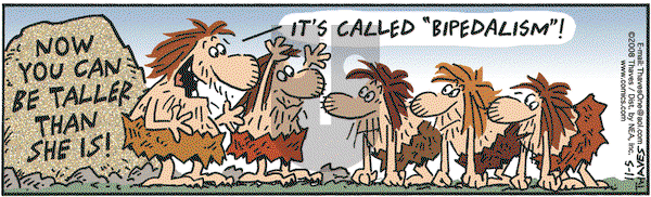 Frank and Ernest on Wednesday November 5, 2008 Comic Strip