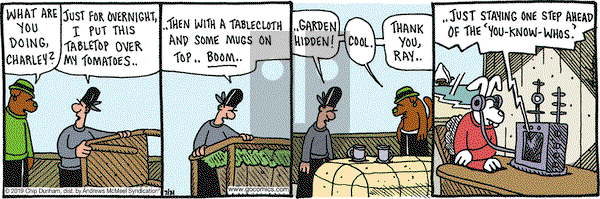 Overboard on Wednesday July 31, 2019 Comic Strip