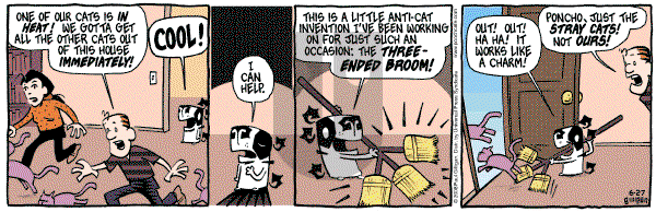 Pooch Cafe - Friday June 27, 2008 Comic Strip