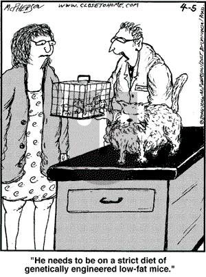 Close to Home on Wednesday April 5, 2006 Comic Strip