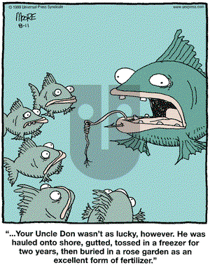 In the Bleachers on Sunday May 21, 2000 Comic Strip