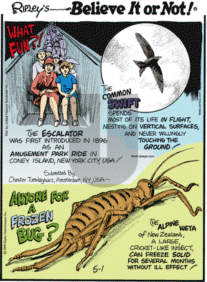 Ripley's Believe It or Not on Friday May 1, 2009 Comic Strip