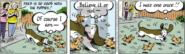 Fred Basset - Thursday August 4, 2022 Comic Strip