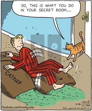 Brevity on Monday April 25, 2011 Comic Strip