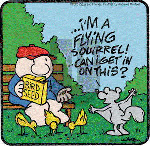Ziggy on Tuesday August 18, 2020 Comic Strip
