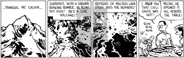 Calvin and Hobbes on Saturday November 10, 1990 Comic Strip