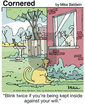 Cornered on Saturday January 11, 2020 Comic Strip
