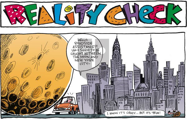Reality Check on Sunday July 28, 2013 Comic Strip