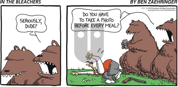 In the Bleachers on Sunday January 19, 2020 Comic Strip