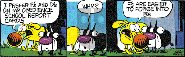 Mother Goose and Grimm on Thursday June 5, 2025 Comic Strip