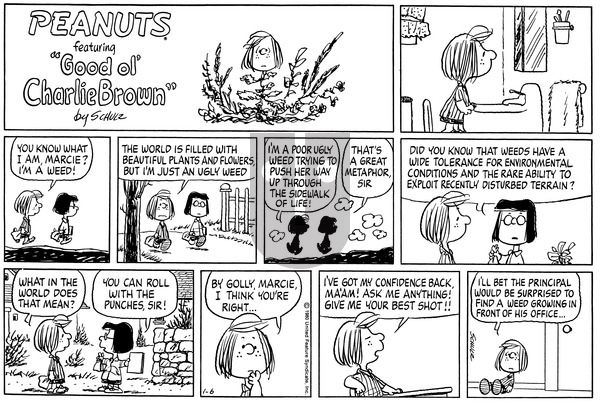 Peanuts on Sunday January 6, 1980 Comic Strip