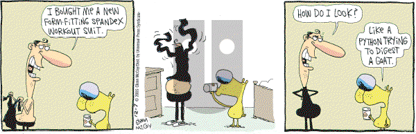 The Duplex on Wednesday December 7, 2005 Comic Strip